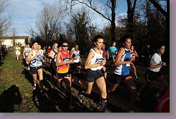 Begles 15.12.13 01 699 * 679 x 453 * (142KB)